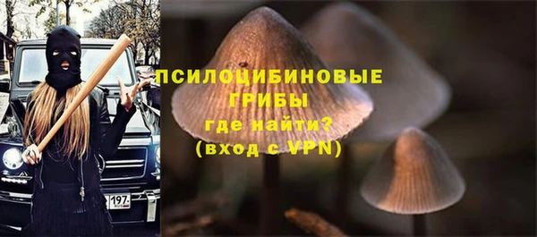 ГАЛЛЮЦИНОГЕННЫЕ ГРИБЫ Абаза