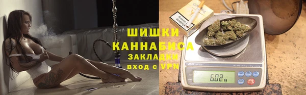 ГАЛЛЮЦИНОГЕННЫЕ ГРИБЫ Абаза
