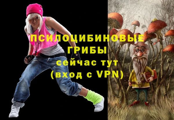 ГАЛЛЮЦИНОГЕННЫЕ ГРИБЫ Абаза