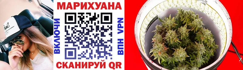 как найти закладки  Отрадный  Шишки марихуана марихуана 